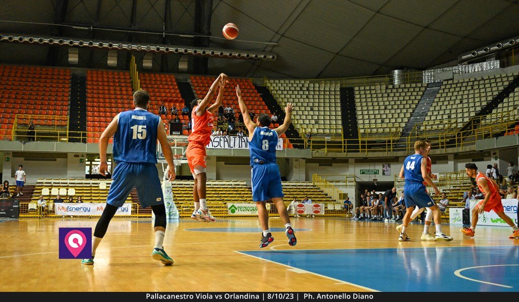 Viola Orlandina (85)