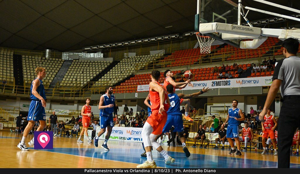 Viola Orlandina (86)