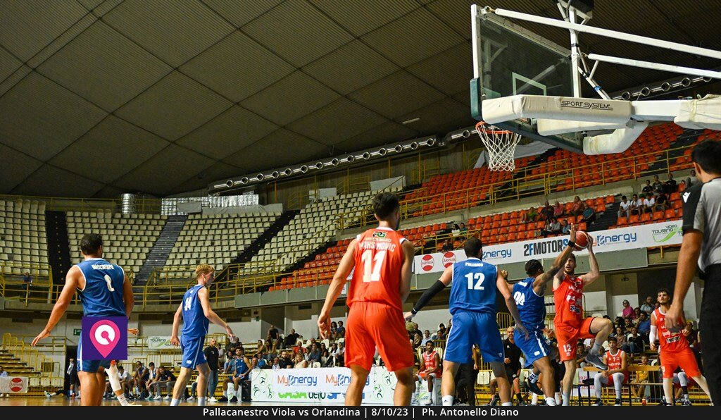 Viola Orlandina (87)