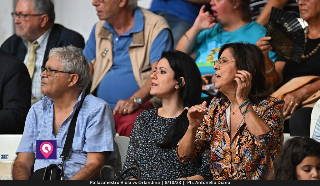 Viola Orlandina (95)