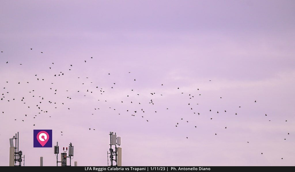 LFA REGGIO Vs TRAPANI (101)