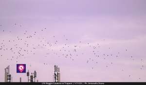 LFA REGGIO Vs TRAPANI (101)