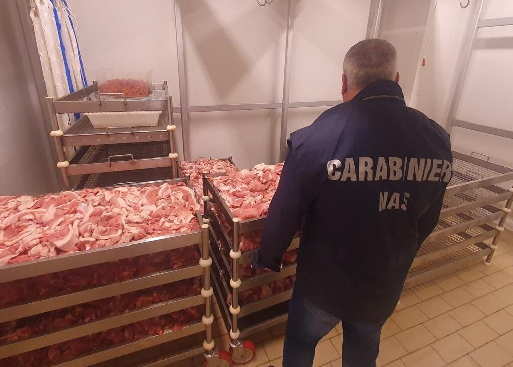 WhatsApp Image 2023 11 10 At 11 32 37