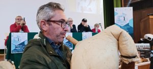 WhatsApp Image 2023 11 29 At 17 51 26 (2)