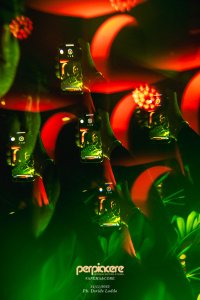 Perpiacere Anema E Core Wow 91