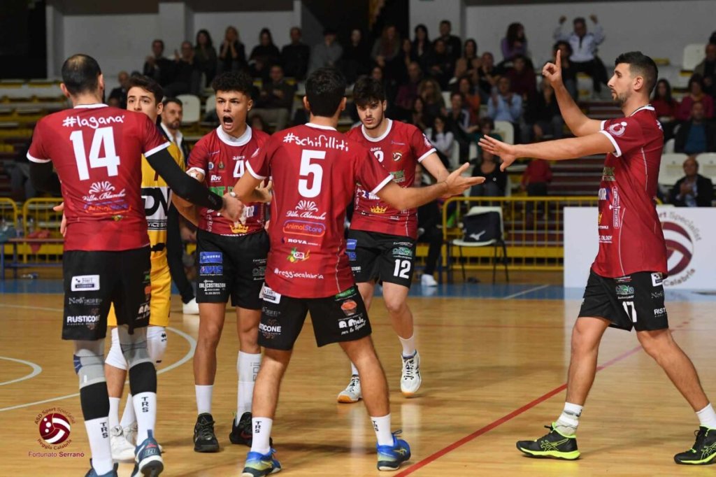 Domotek Volley