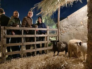 PHOTO 2023 12 27 19 35 37 (4)