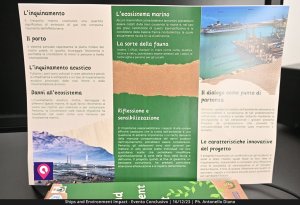 Ships Environment Impact (110)