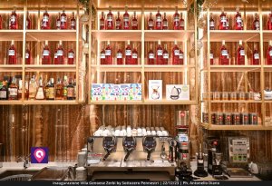 Villa Zerbi Sottozero (16)