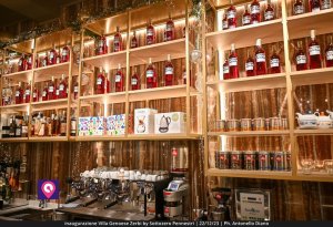 Villa Zerbi Sottozero (30)