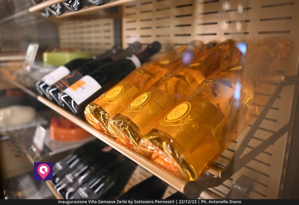 Villa Zerbi Sottozero (78)