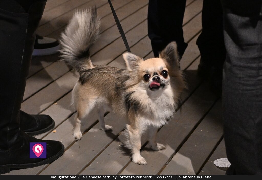 Villa Zerbi Sottozero (86)