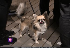 Villa Zerbi Sottozero (86)