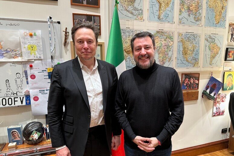 Salvini Musk