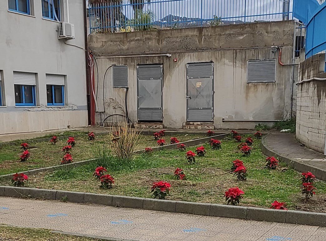 Scuola Di Cannavò