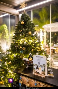 Giojas 30 Dicembre 2023 170