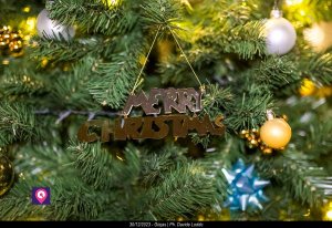 Giojas 30 Dicembre 2023 46