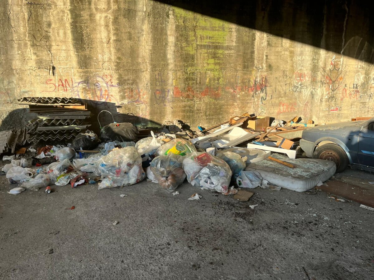 PHOTO 2024 01 23 11 43 52 (3)