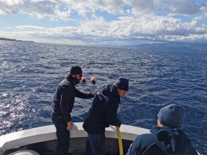 Rilievi Museo Del Mare (1)