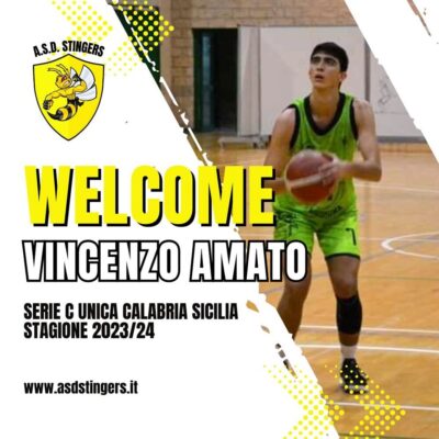 Vincenzo Amato Stingers