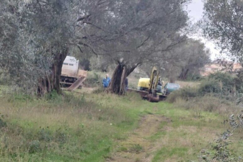 Trattore Ribalta