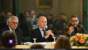 Convegno DIsturbi Alimentazione (24)