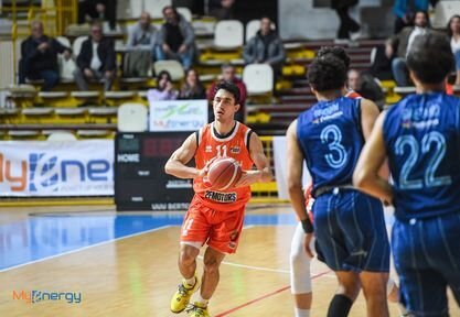 Maksimovic Viola