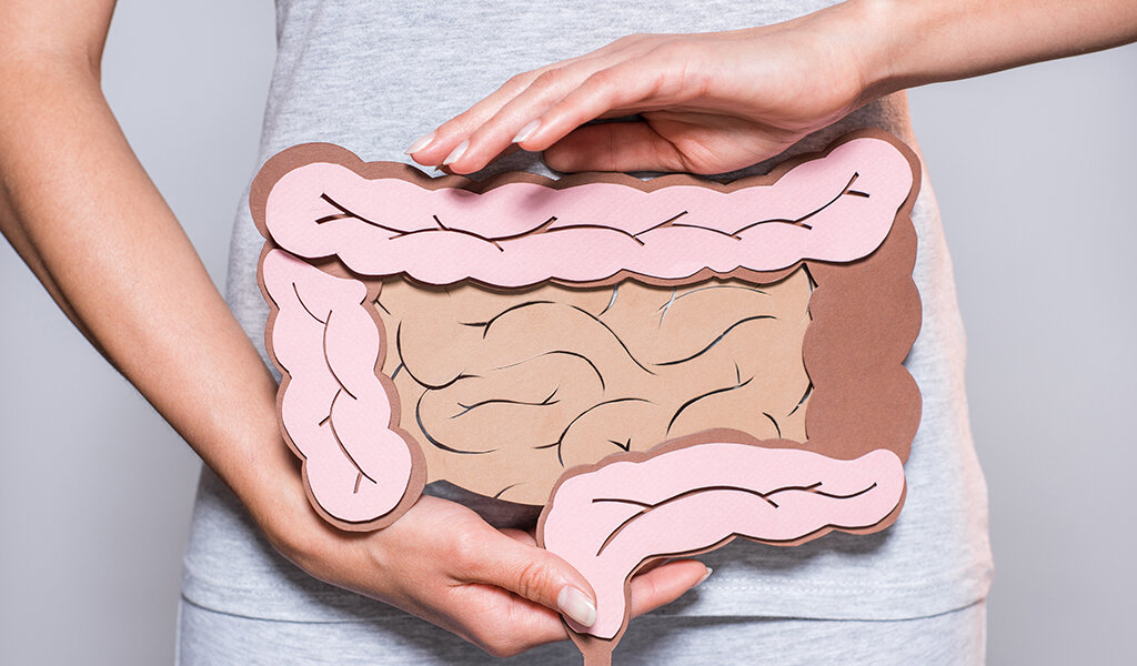 Partial View Of Woman Holding Paper Made Large Intestine On Grey