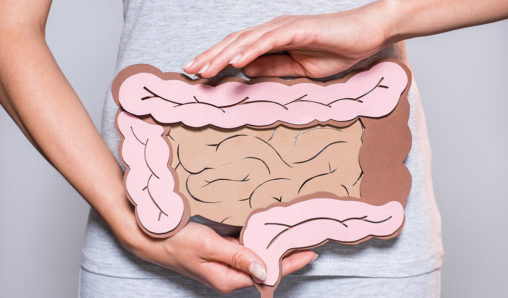 Partial View Of Woman Holding Paper Made Large Intestine On Grey