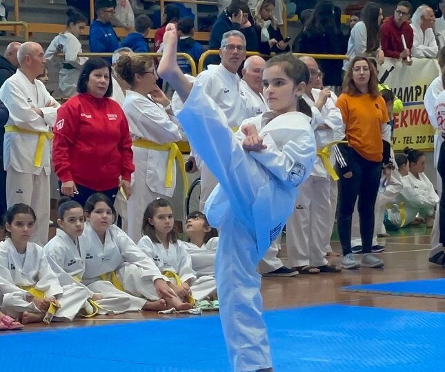 Taekwondo 2024