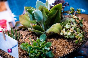 Cutrì Prisa Studio 88