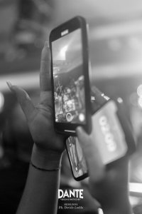 Dante Dischi Pasticche University 224