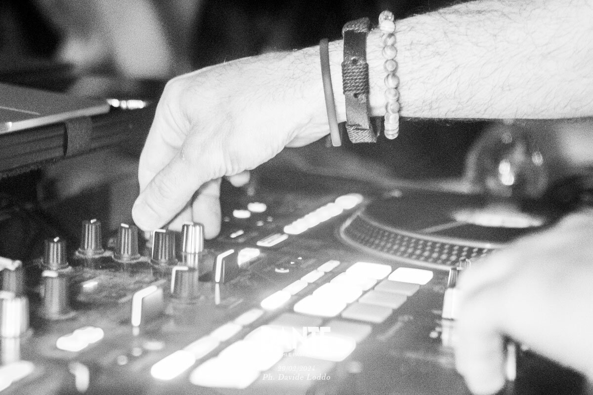 Dante Dischi Pasticche University 226