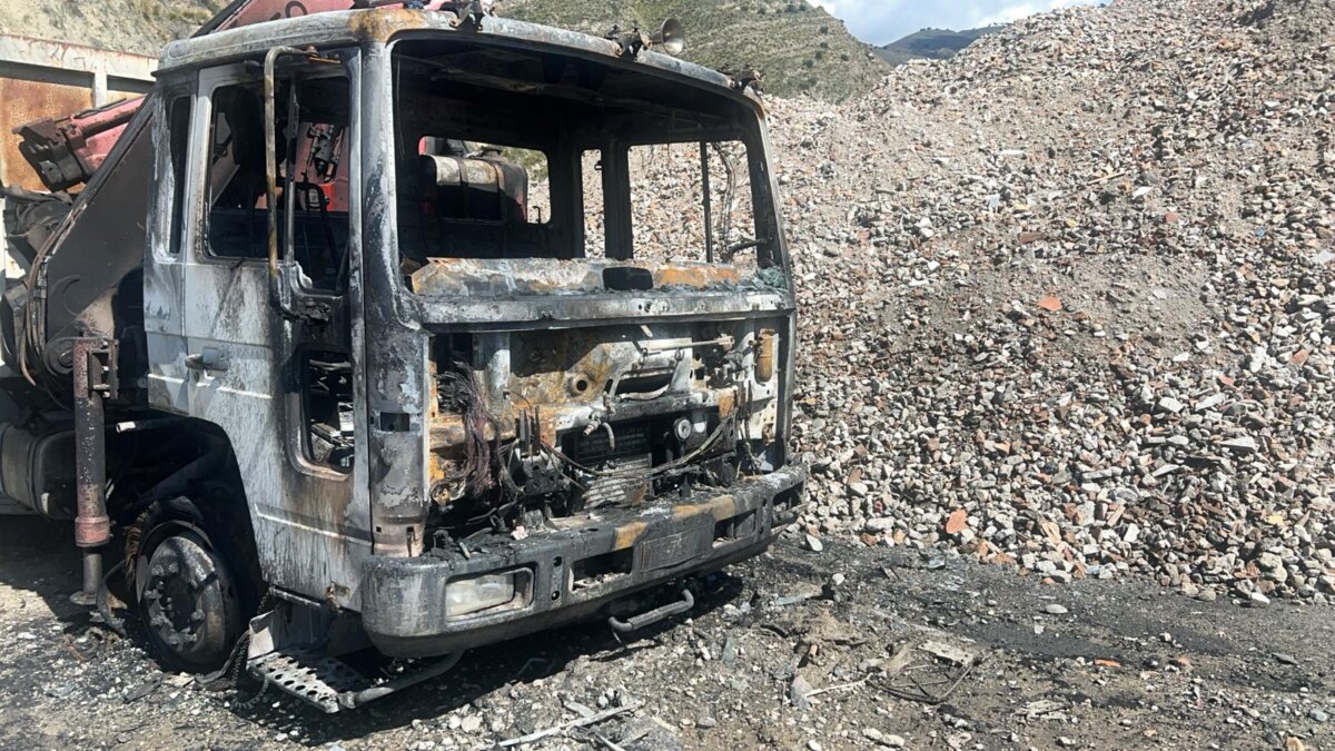 Incendio Oliveto Reggio Calabria (4)
