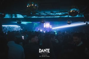 Jungle Dante 206