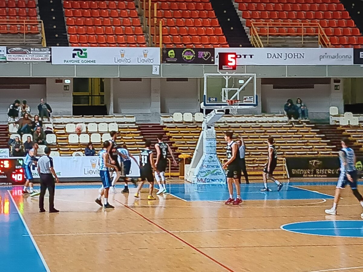 Pallacanestro Viola Molfetta