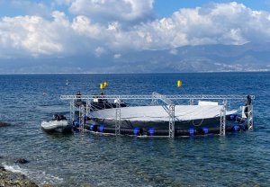 Piattaforma Noel (10)