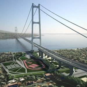 Ponte sullo Stretto, 79 associazioni lanciano l’allarme: ‘Rischio per gli uccelli migratori’