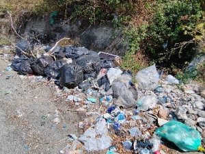 Segnalazione Rifiuti (1)