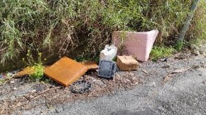 Segnalazione Rifiuti (2)