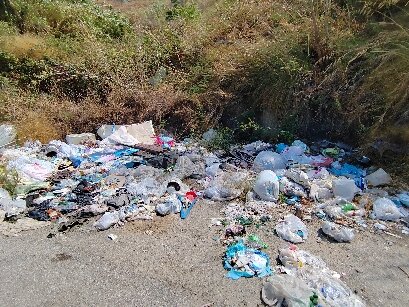 Segnalazione Rifiuti (5)