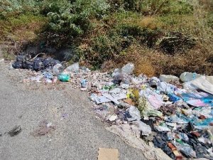 Segnalazione Rifiuti (6)