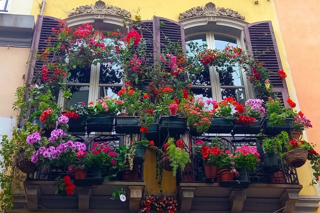Balcone Fiorito A Villanova D0
