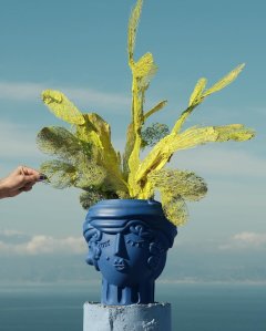 Magna Graecia Seletti Antonio Arico (6)