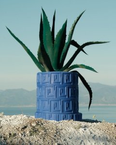 Magna Graecia Seletti Antonio Arico (8)