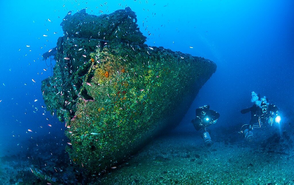 Diving Un Tuffo Blu Lega Navale