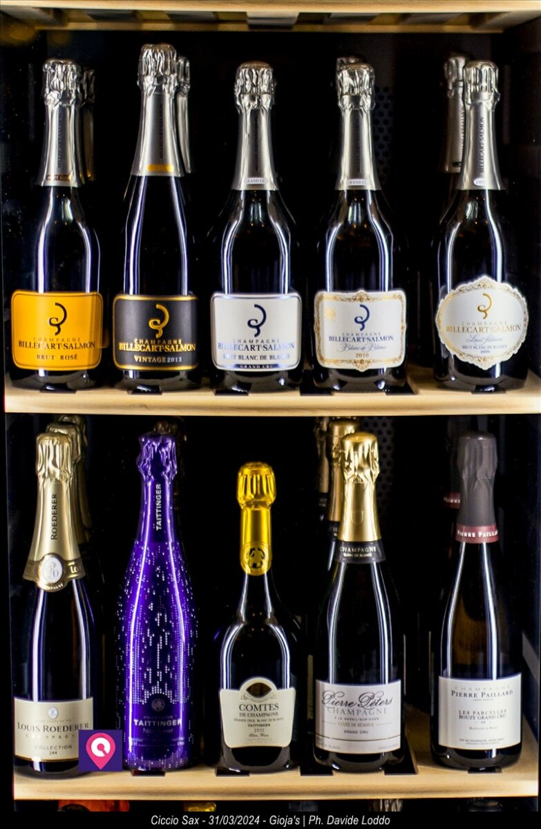 Giojas Ciccio Sax 36