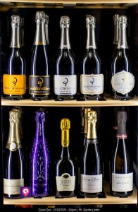 Giojas Ciccio Sax 36