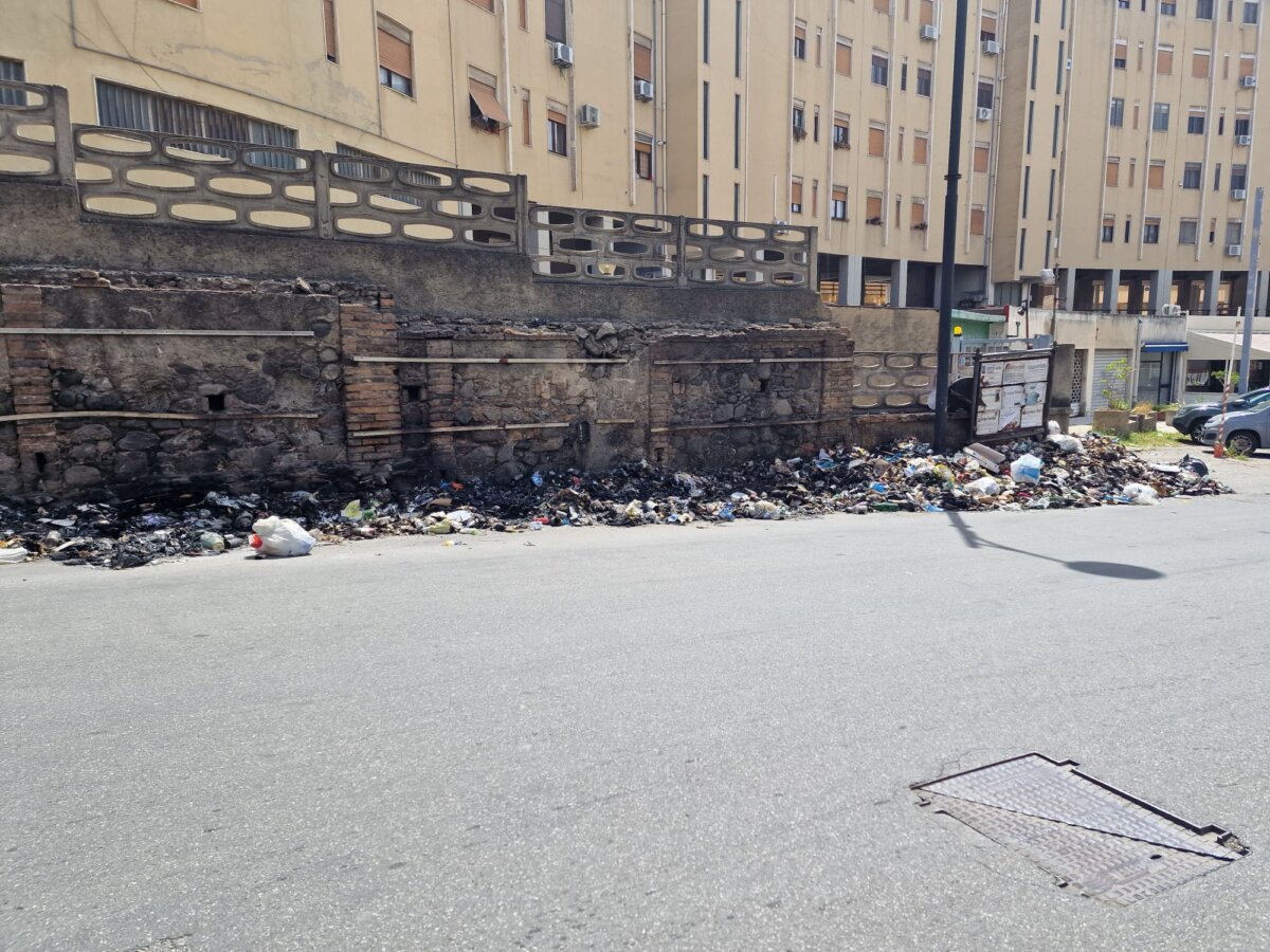 Incendio Rifiuti (5)