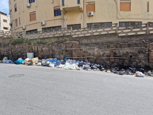 Incendio Rifiuti (6)
